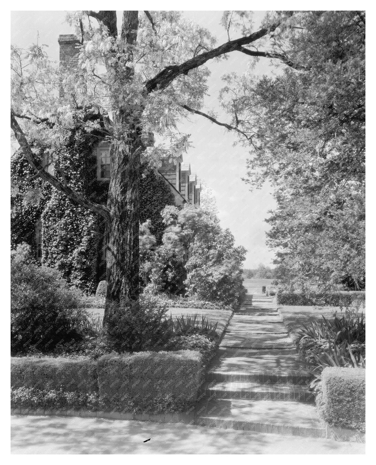 Nelson House, Yorktown VA, 1740 - Historic Architecture Phot