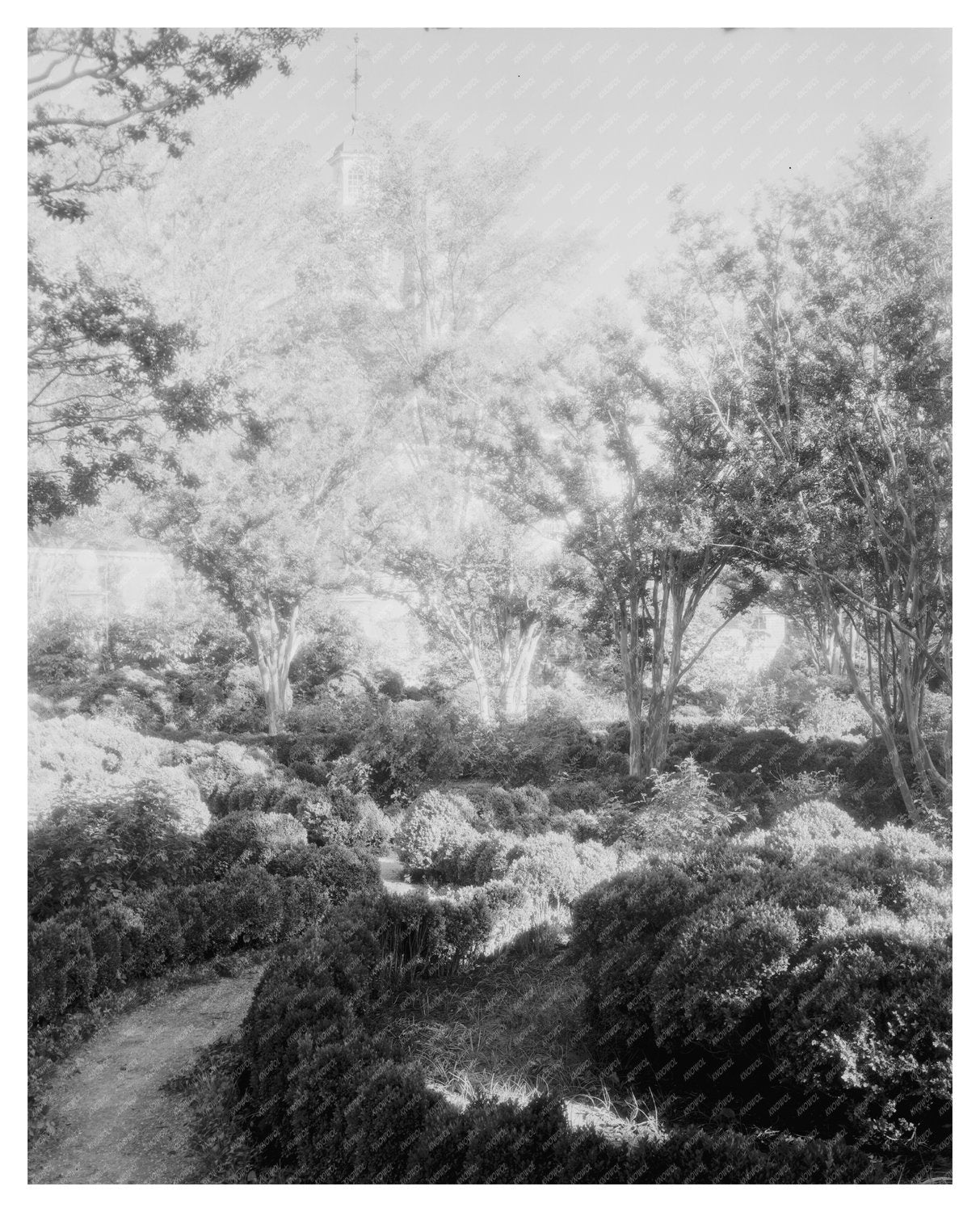 Historic Williamsburg, VA Photograph from 1953