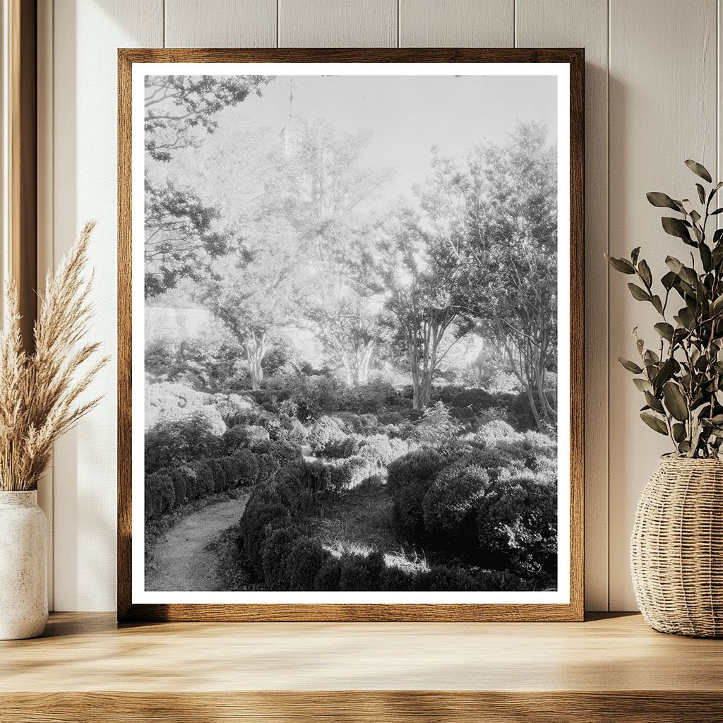 Historic Williamsburg, VA Photograph from 1953