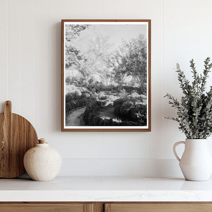 Historic Williamsburg, VA Photograph from 1953