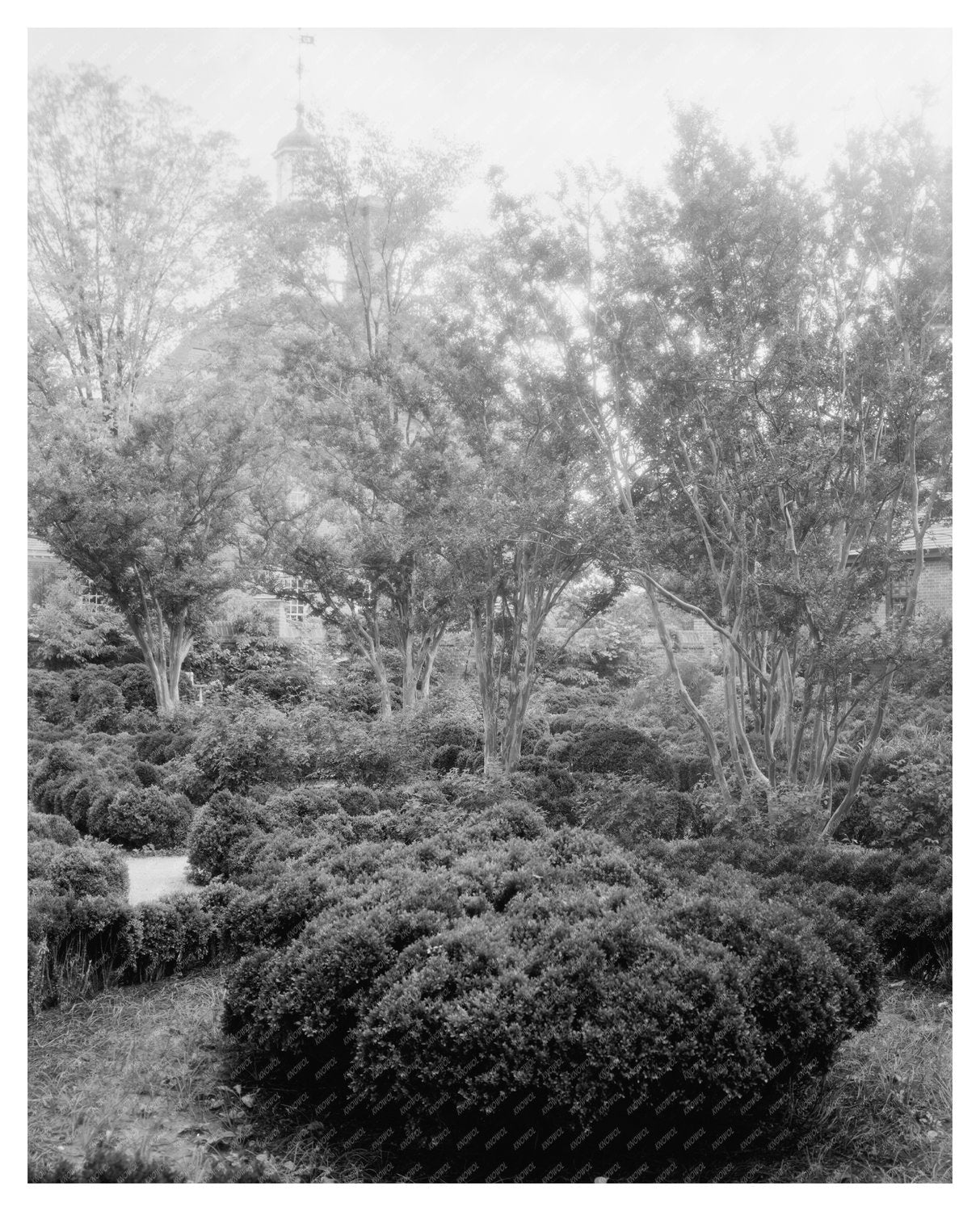 1910 Williamsburg, VA Vintage Restoration Photograph