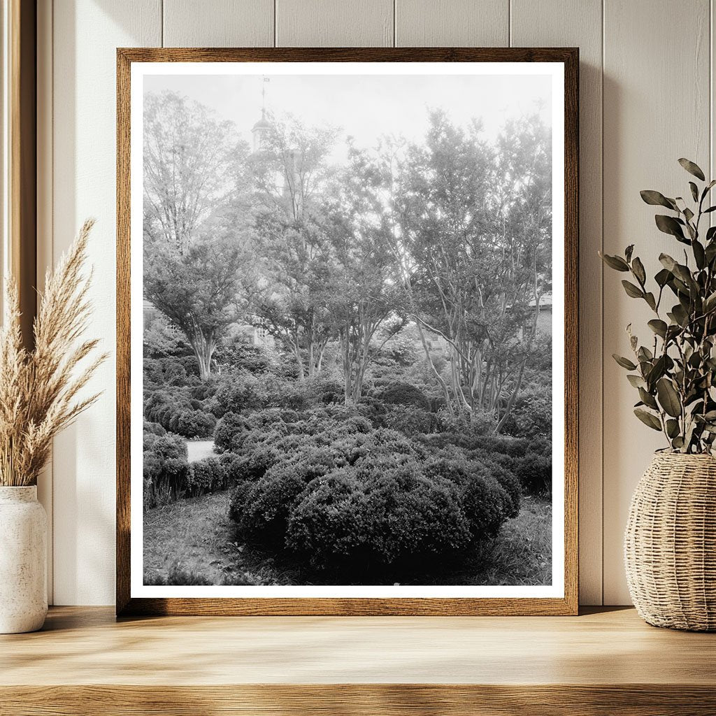 1910 Williamsburg, VA Vintage Restoration Photograph