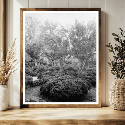 1910 Williamsburg, VA Vintage Restoration Photograph