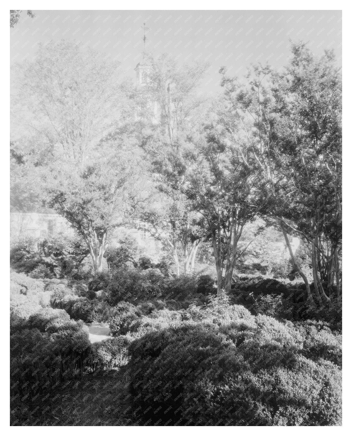 Vintage Williamsburg Photo, Virginia 1930s Historical Archit