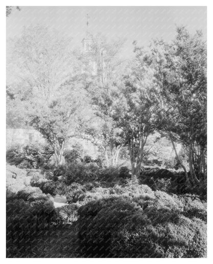 Vintage Williamsburg Photo, Virginia 1930s Historical Archit