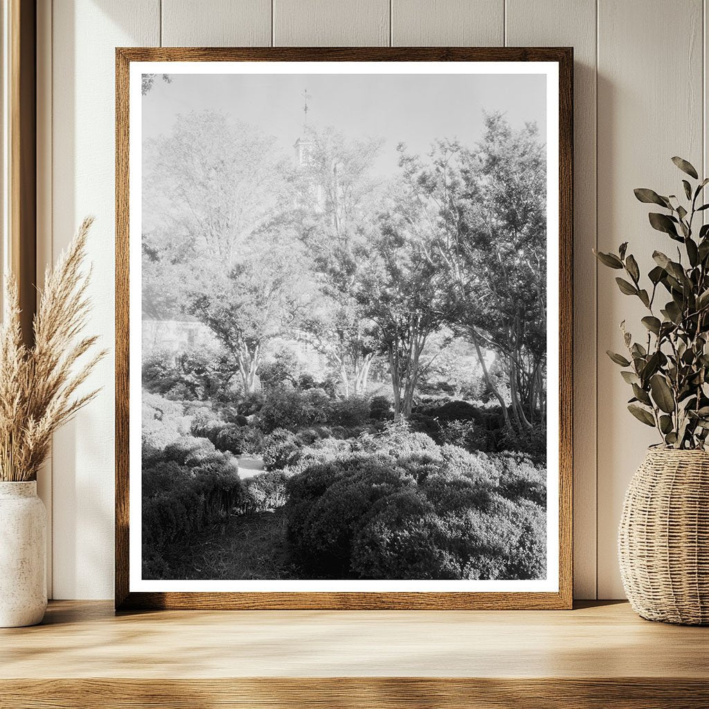 Vintage Williamsburg Photo, Virginia 1930s Historical Archit