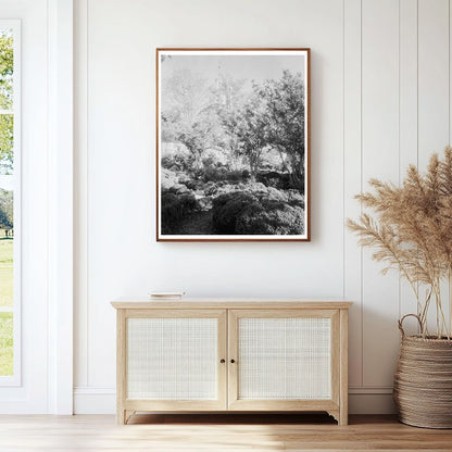 Vintage Williamsburg Photo, Virginia 1930s Historical Archit