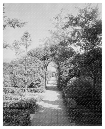 Vintage Williamsburg, VA Landscape Photo 1920s