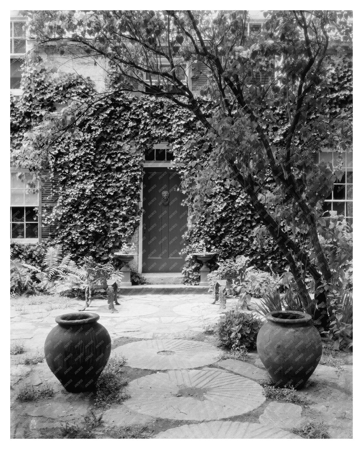 Fredericksburg VA Vintage Home and Garden Photo 20th Century