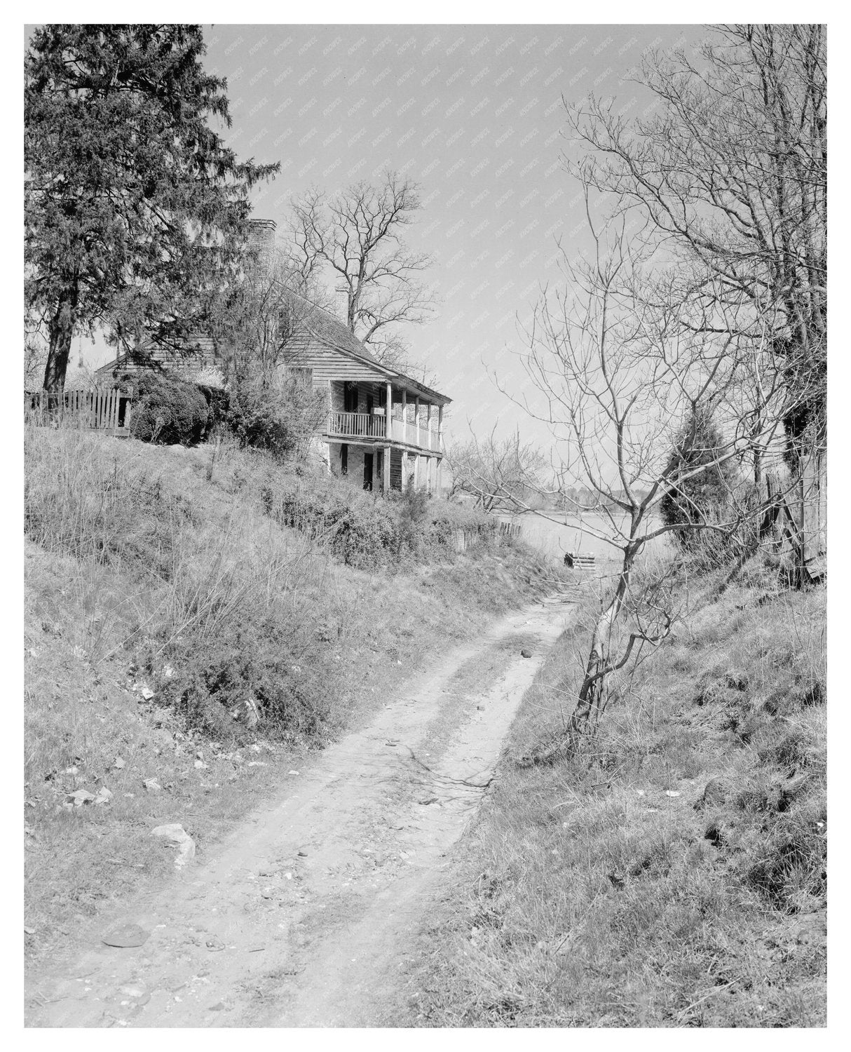 Port Royal, VA Vintage Photo from Early 20th Century