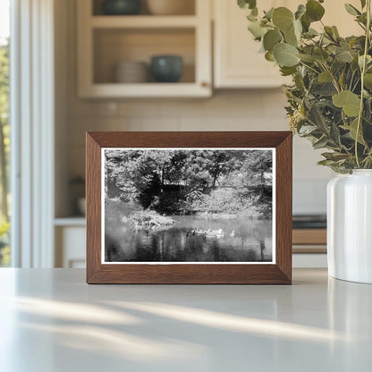 Fredericksburg VA Estate Photograph 1900s