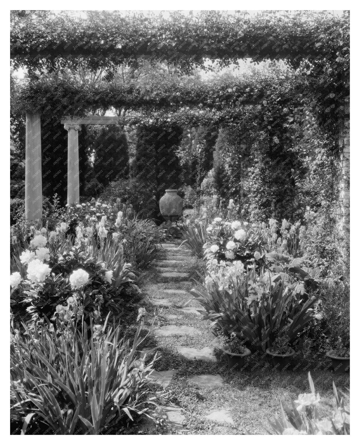 Fredericksburg VA Estate Restoration Vintage Photo 1910s