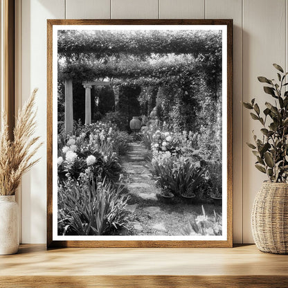 Fredericksburg VA Estate Restoration Vintage Photo 1910s