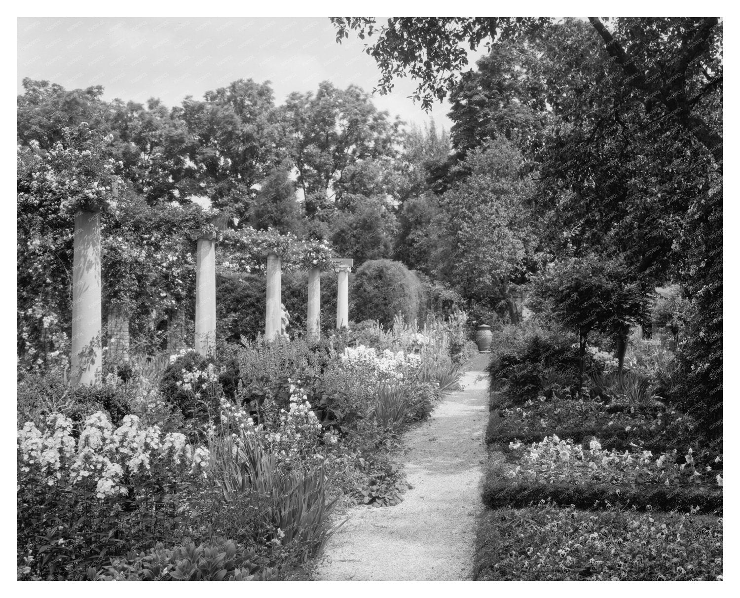Fredericksburg, VA Estate Gardens Photo, 20th Century