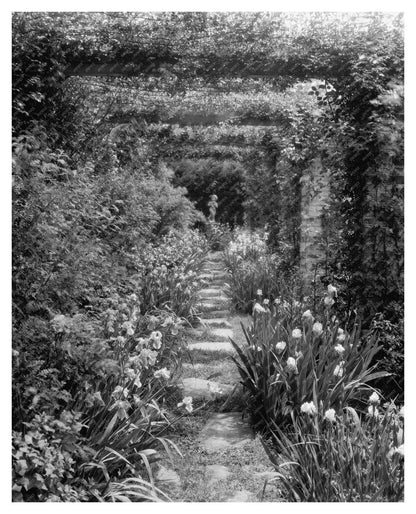 Vintage Estate Restoration in Stafford County, VA 1900s