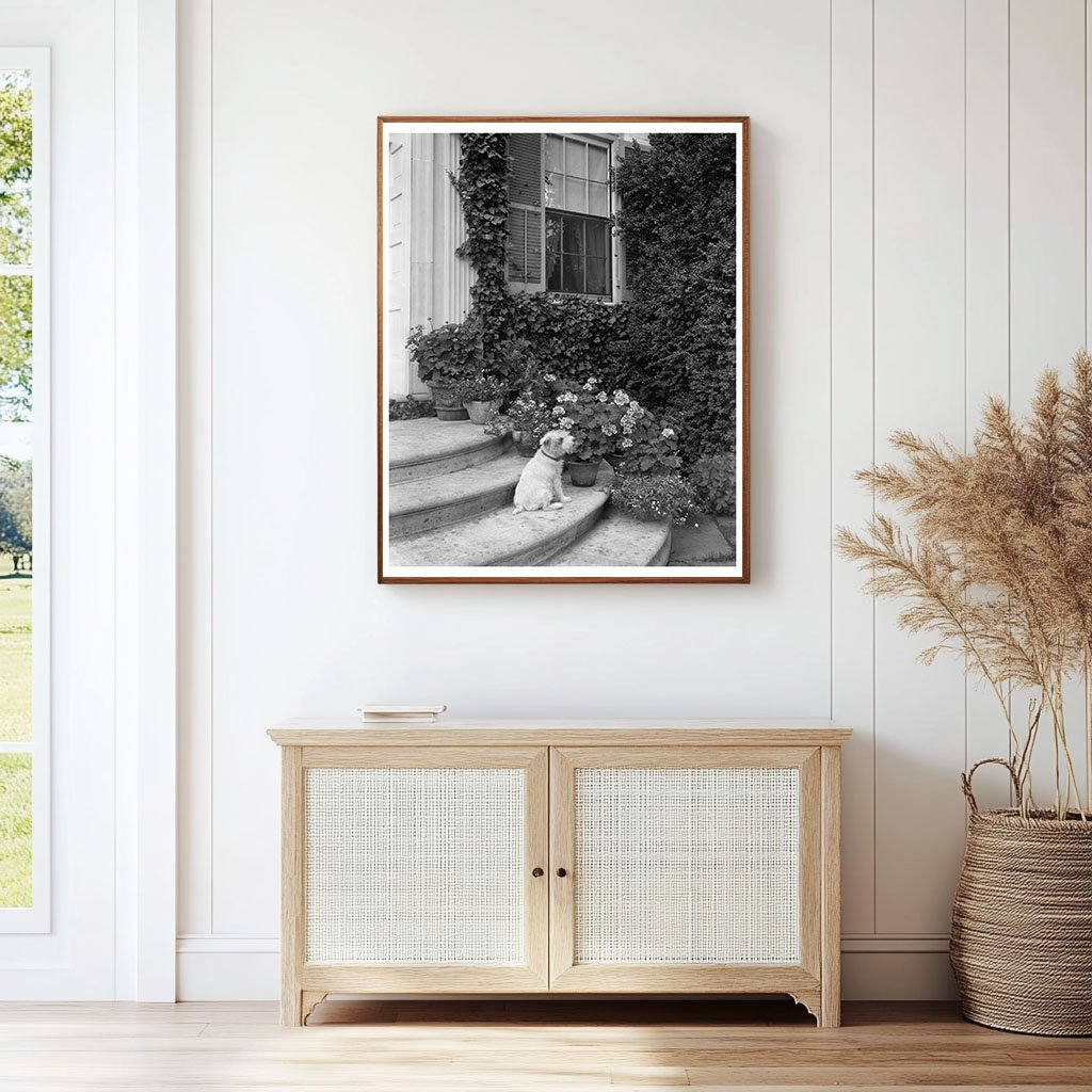 Vintage Architecture Photo, Fredericksburg, VA 20th Century