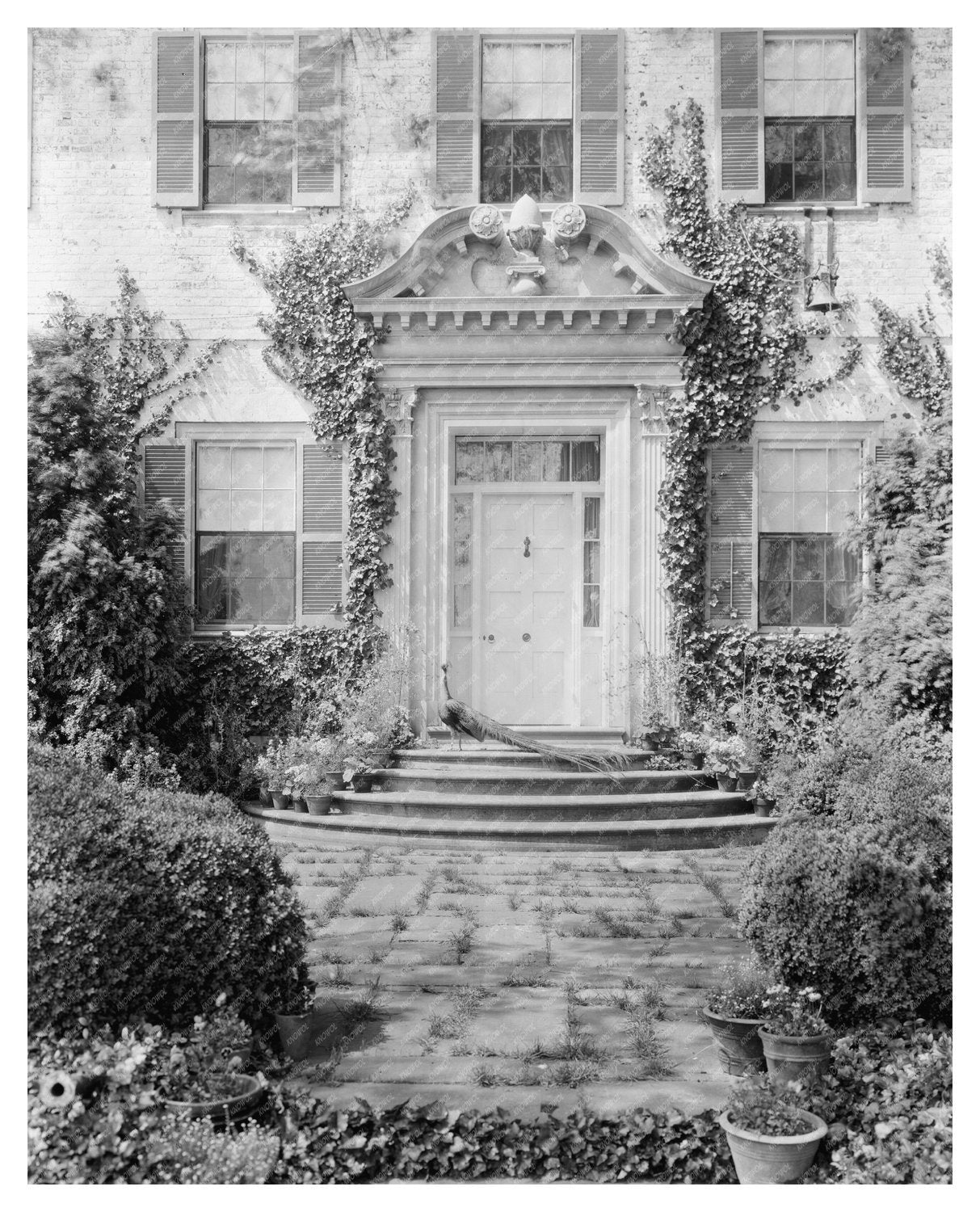 Fredericksburg VA Estate Architectural Photo 1900s