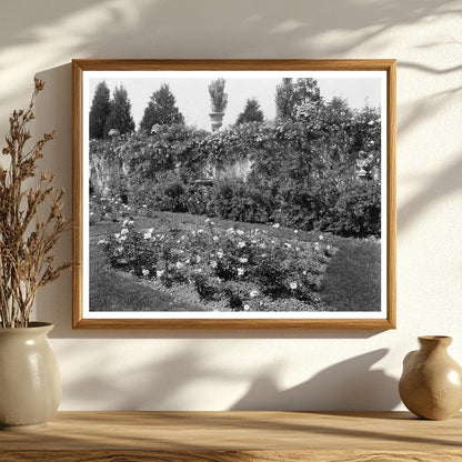 Fredericksburg VA Estate Restoration Photo 1900s