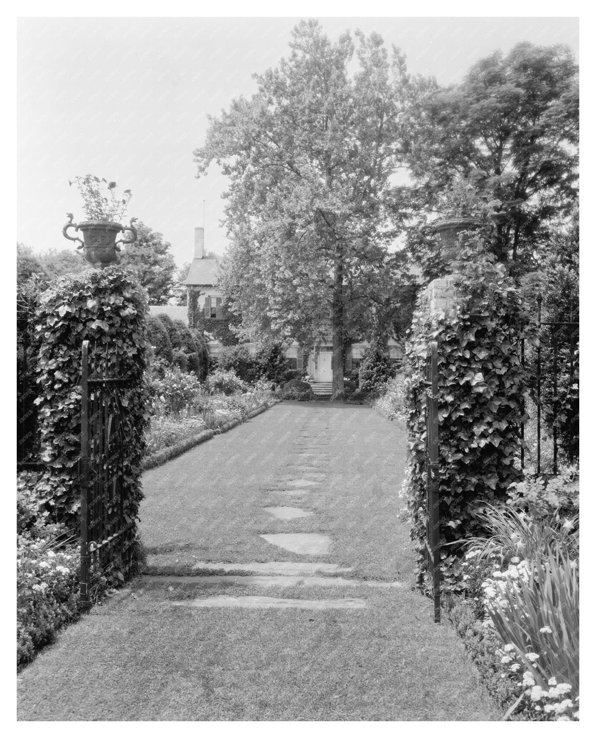 Historic Estate in Stafford County, VA - 20th Century Photo