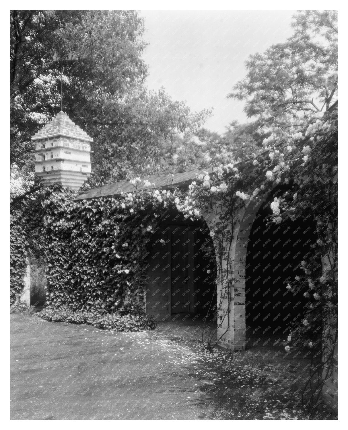 1910 Fredericksburg VA Estate Restoration Photography