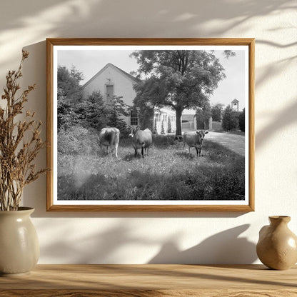 Chatham Estate Restoration, Fredericksburg VA, 1950s