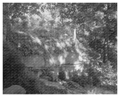 Richmond Virginia Estate Photo, Carnegie Survey 1953