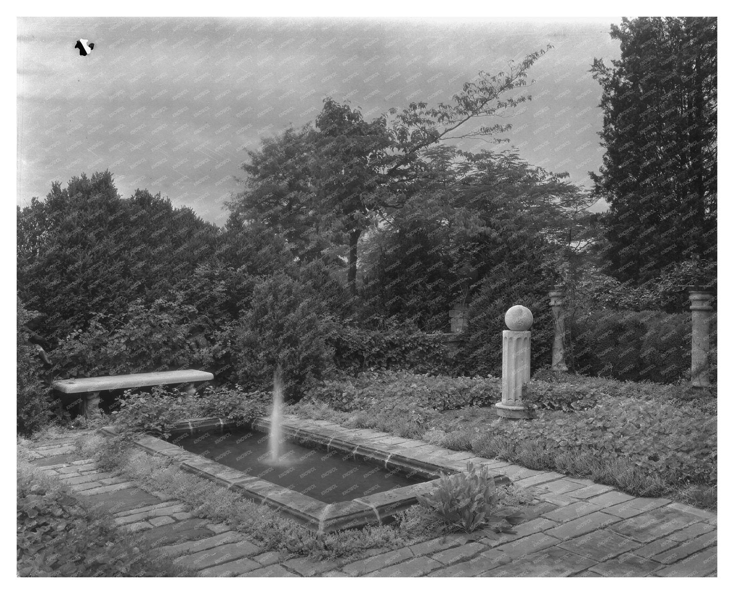 Richmond, VA Garden Scene - Early 20th Century Photo