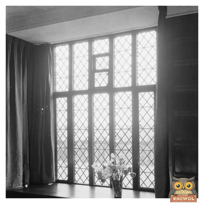 Historic Richmond VA Photo of Leaded Glass Windows, 1900s