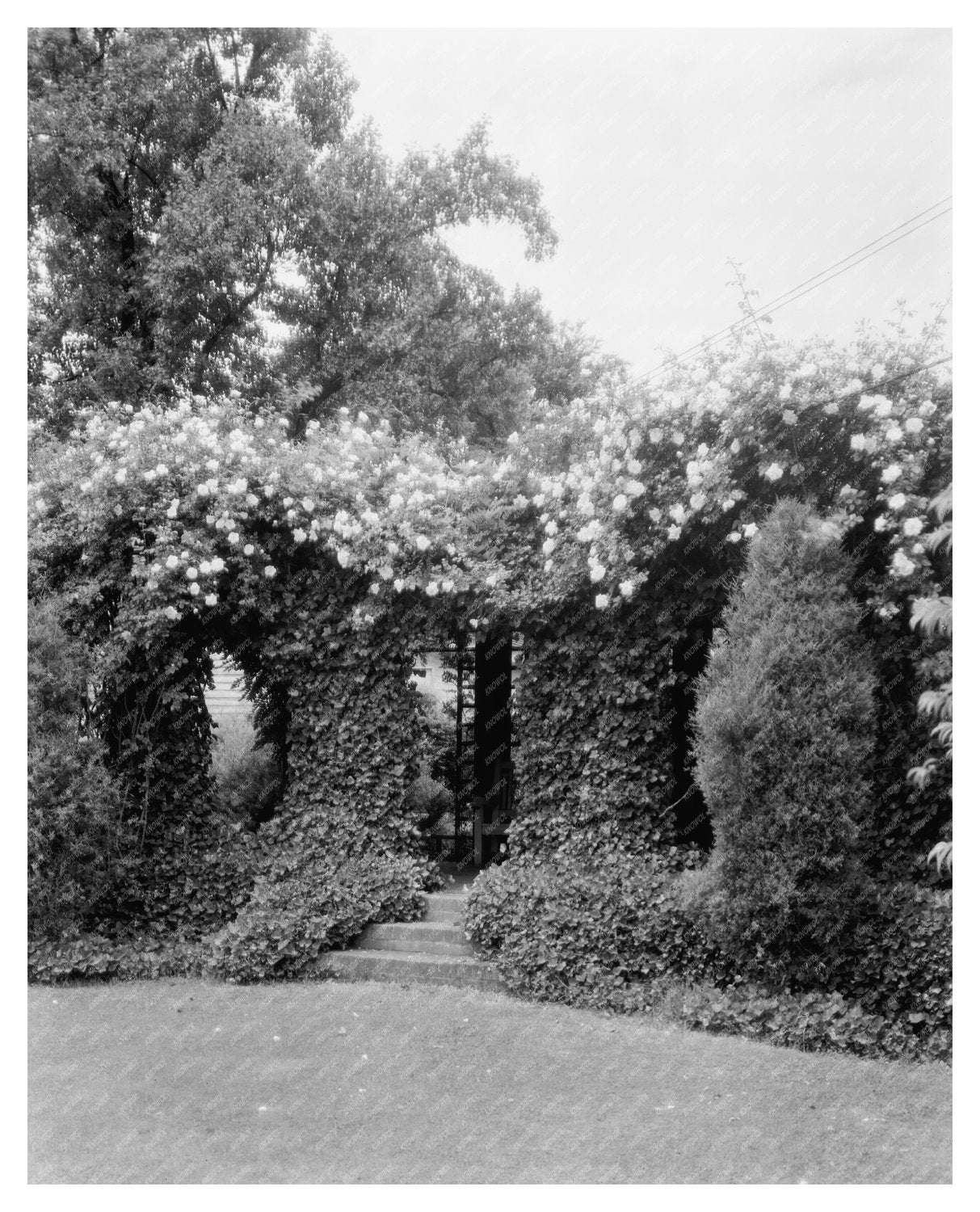 Historic Garden in Richmond, VA - 1791 Photography