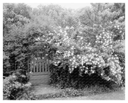 Richmond VA Historic Brick House Tract Photo, 1900s