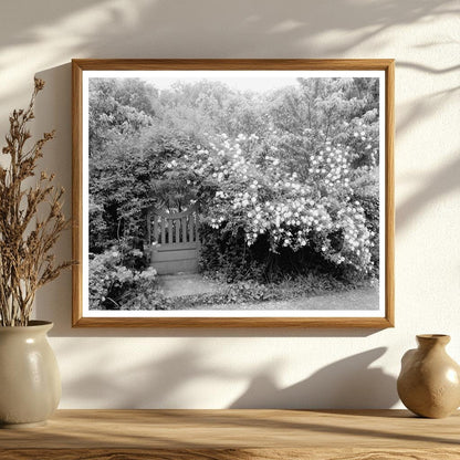 Richmond VA Historic Brick House Tract Photo, 1900s