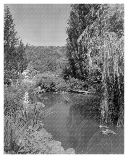 Henrico County, VA Vintage Photo from 1953 Architectural Sur