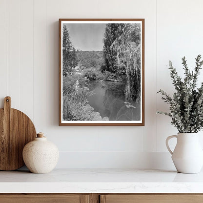 Henrico County, VA Vintage Photo from 1953 Architectural Sur