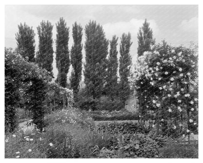 1910s Garden in Richmond, VA - Carnegie Survey Image