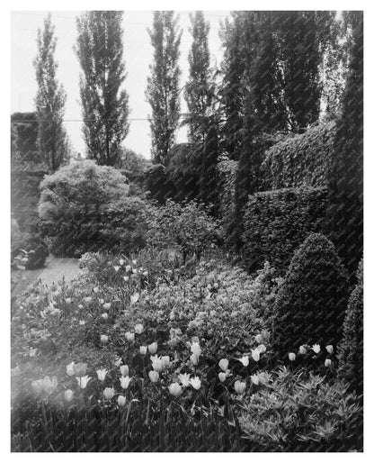 Vintage Garden Scene, Richmond VA 20th Century