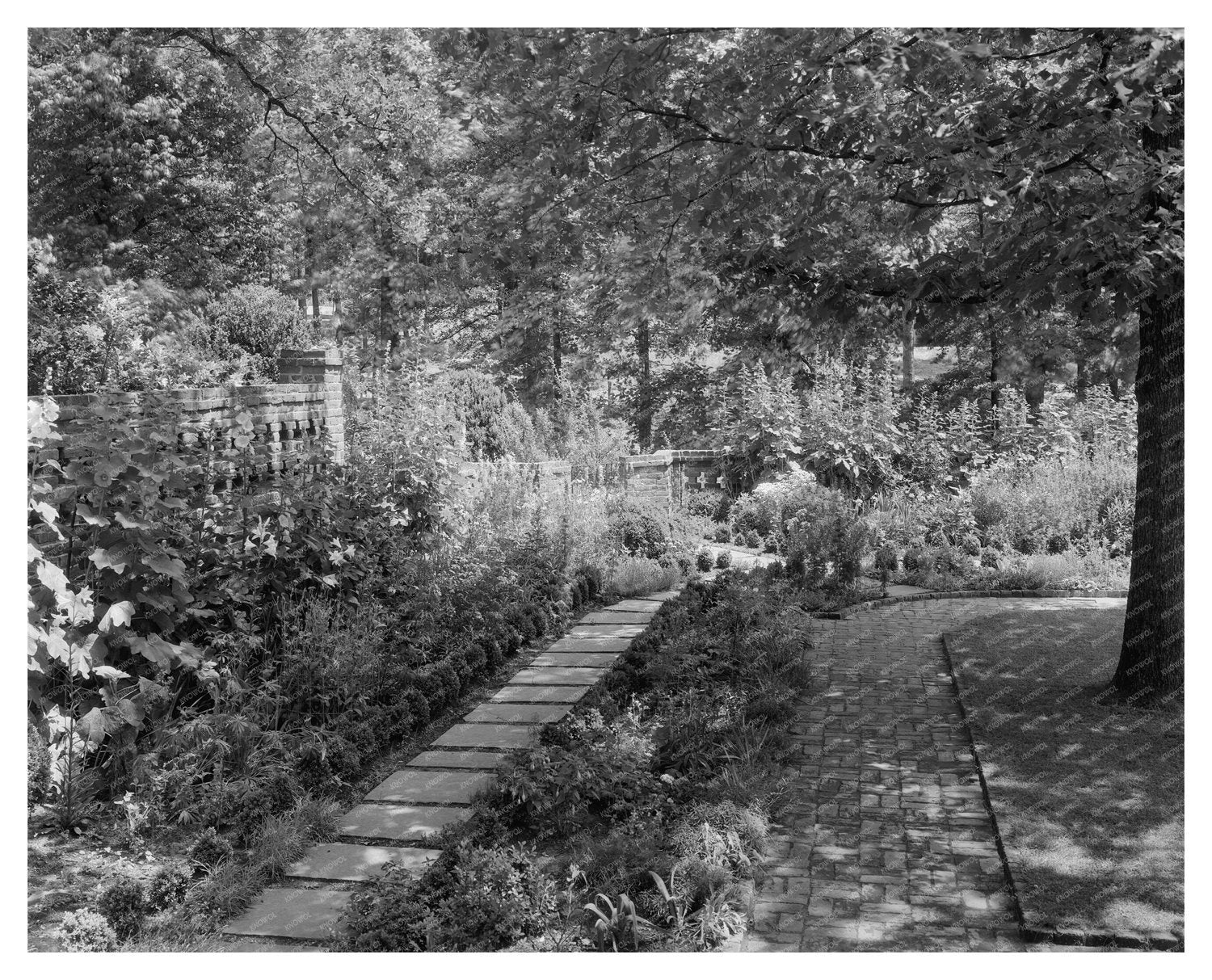 Richmond VA Gardens - Vintage Photo from Early 20th Century