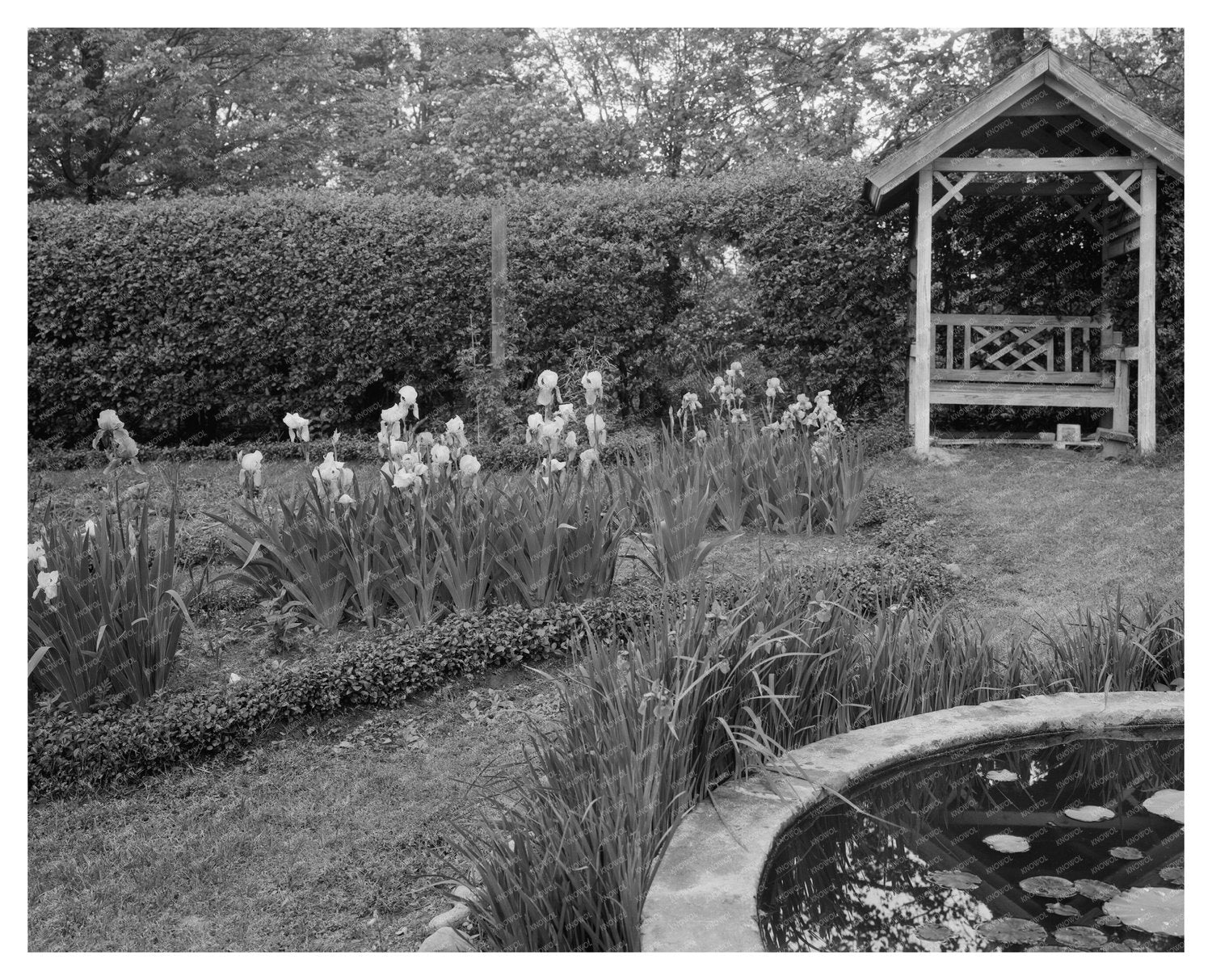 Vintage Garden Landscape in Richmond, VA - 1953
