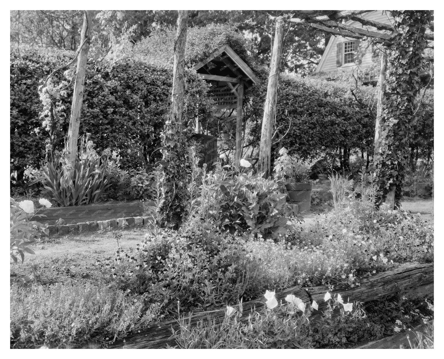 Vintage Garden Scene in Richmond, VA - Henrico County 20th C