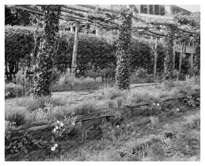 Henrico County Garden Scene, Richmond VA, Early 20th Century
