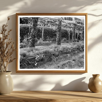 Henrico County Garden Scene, Richmond VA, Early 20th Century