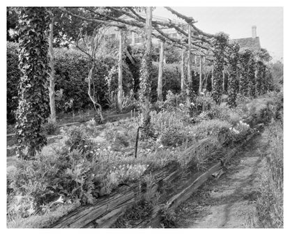 Richmond, VA Garden Design History, Early 1900s Photo