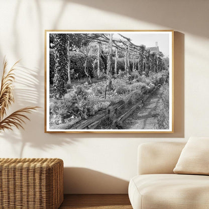 Richmond, VA Garden Design History, Early 1900s Photo