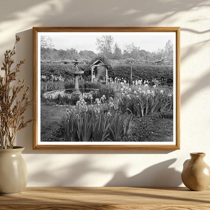 Vintage Garden Scene in Richmond, VA - 20th Century