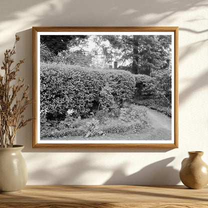 Vintage Garden Landscape in Richmond, VA - 20th Century