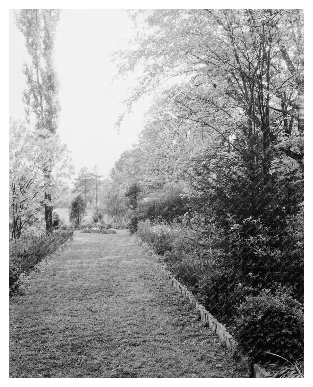 Henrico County Landscape, Richmond VA, 20th Century