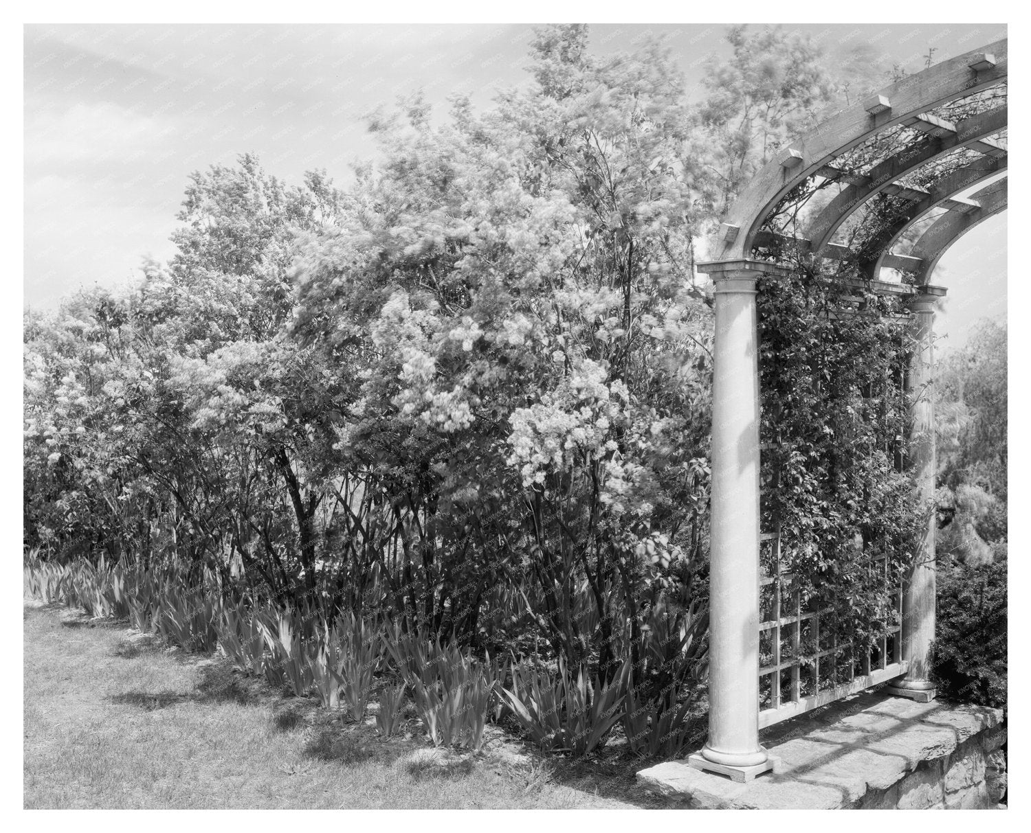 1900s Vintage Photo of Boyce, Fauquier County, Virginia