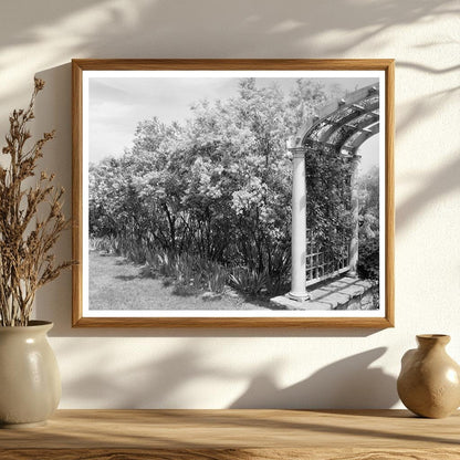 1900s Vintage Photo of Boyce, Fauquier County, Virginia