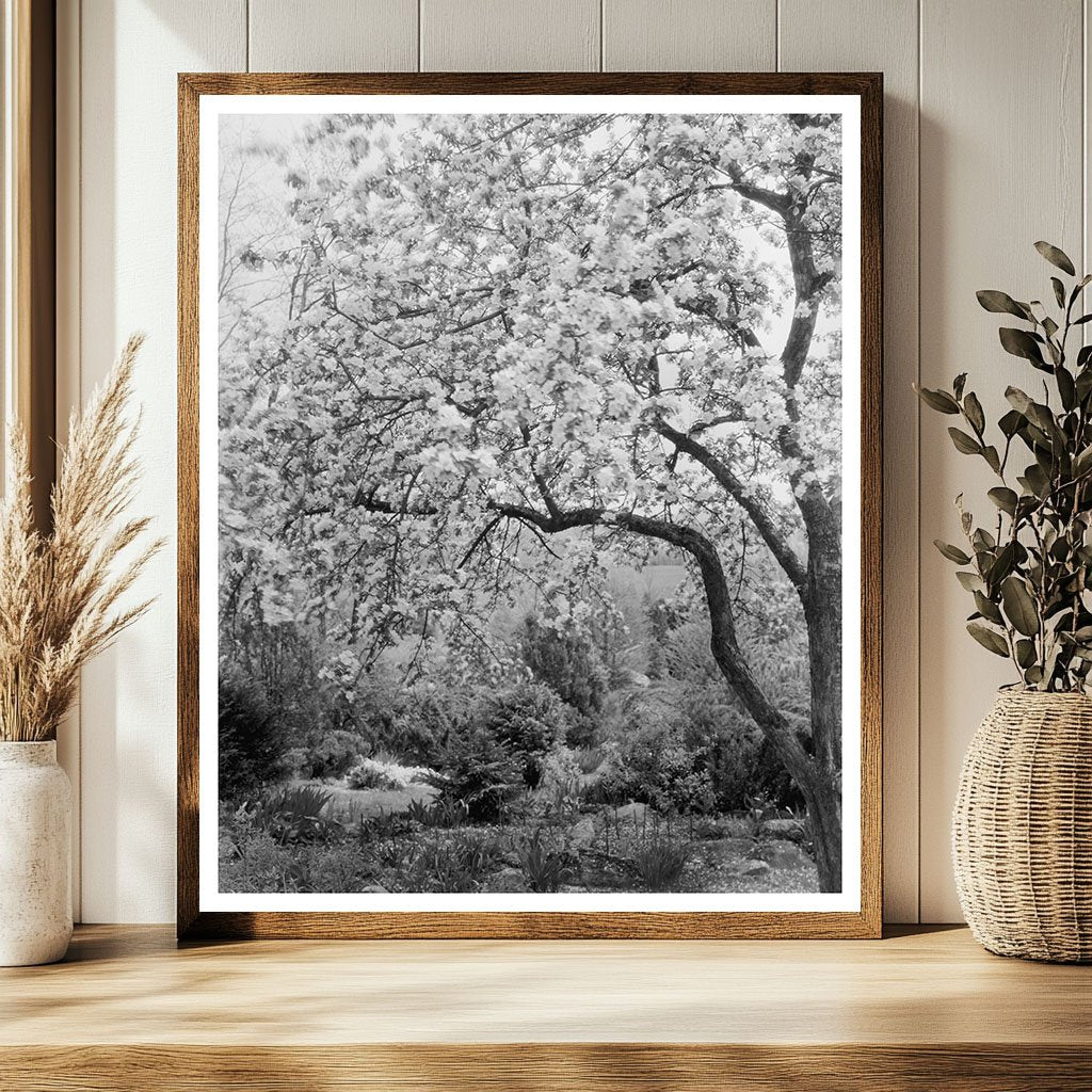Vintage Landscape Photo: Boyce, Virginia, Early 1900s