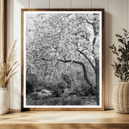 Vintage Landscape Photo: Boyce, Virginia, Early 1900s