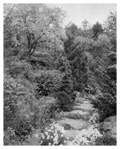 Boyce, Virginia Vintage Photograph from 1900s Carnegie Surve